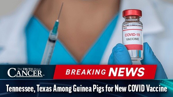 covid vaccine guinea pigs