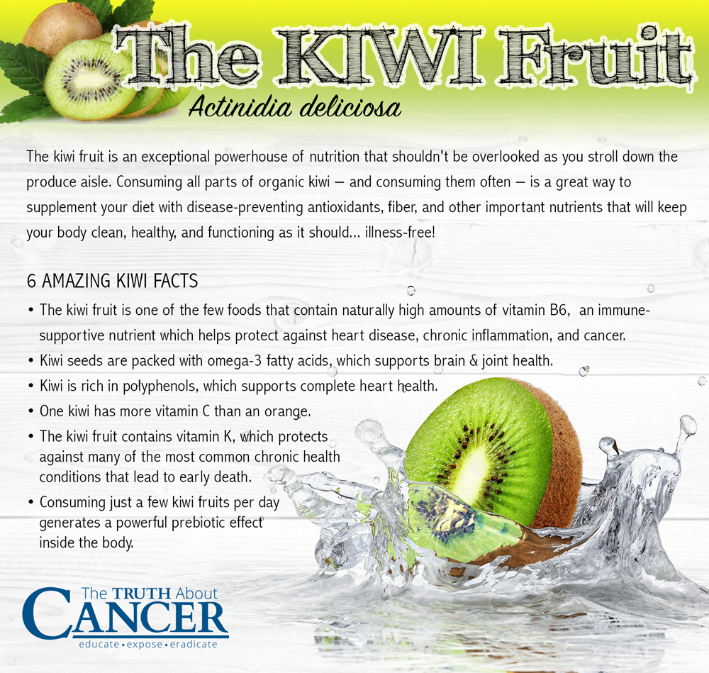 Kiwi-fruit-medicinal-powerhouse-2