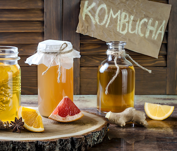 kombucha probiotic drinks