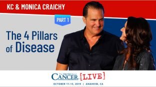 The 4 Pillars of Disease (Part 1) The 4 Pillars of Disease (Part 1)