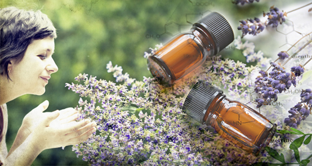 Lavender Essential Oil and Its Benefits for Cancer Patients