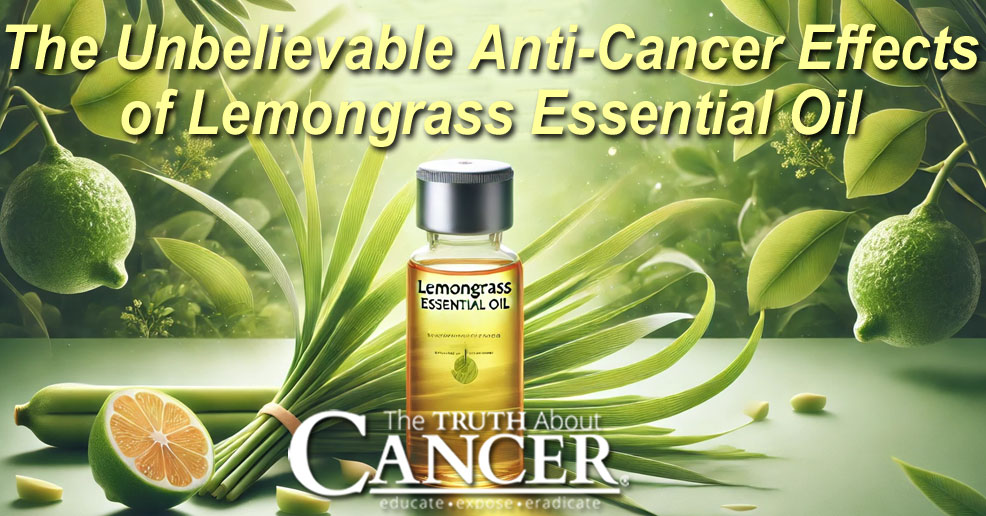 The Unbelievable Anti-Cancer Effects of Lemongrass Essential Oil The Unbelievable Anti-Cancer Effects of Lemongrass Essential Oil