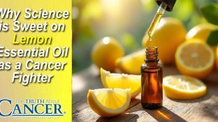 Why Science is Sweet on Lemon Essential Oil as a Cancer Fighter Why Science is Sweet on Lemon Essential Oil as a Cancer Fighter
