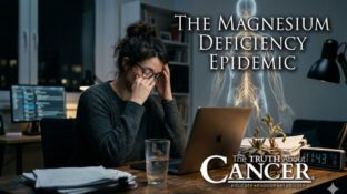 The Magnesium Deficiency Epidemic: Why You're Probably Not Getting Enough (And What It's Costing You)