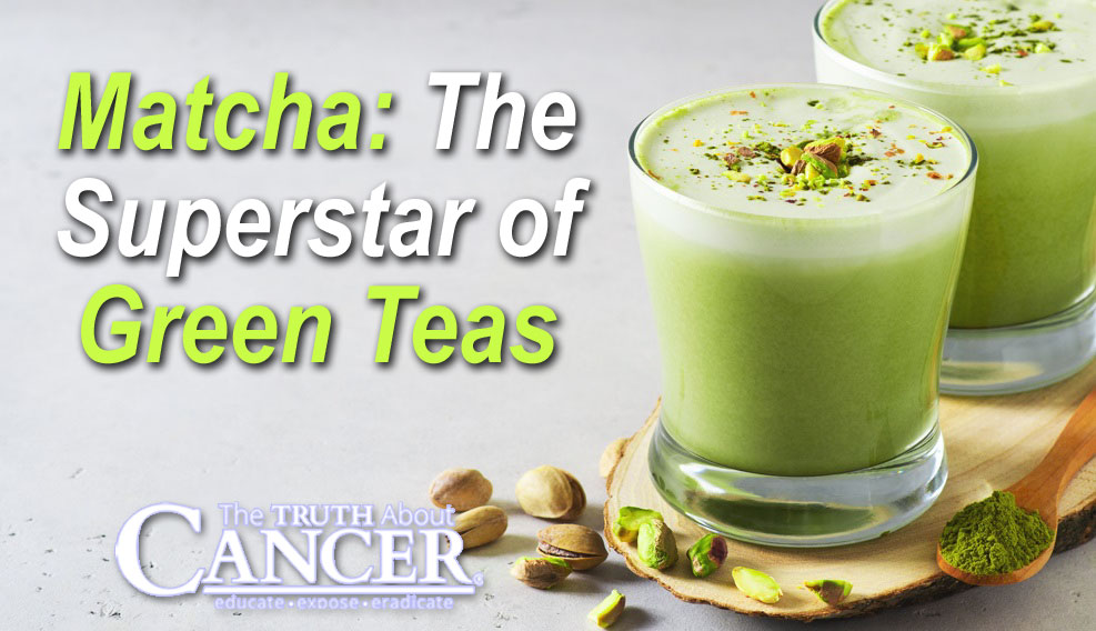 Matcha: The Superstar of Green Teas