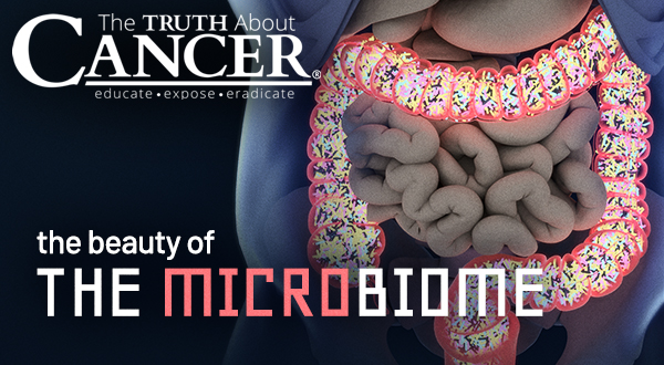 Bacteria is Best: Why a Healthy Gut Microbiome is Key to Cancer Prevention
