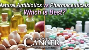 Natural Antibiotics vs Pharmaceuticals: Which is Best? Natural Antibiotics vs Pharmaceuticals: Which is Best?