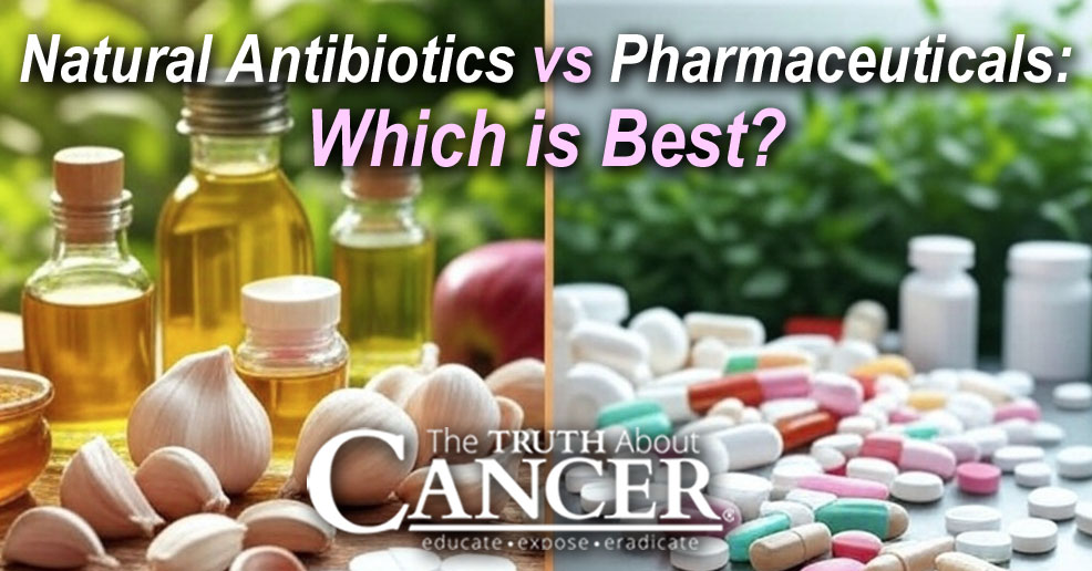 Natural Antibiotics vs Pharmaceuticals: Which is Best?