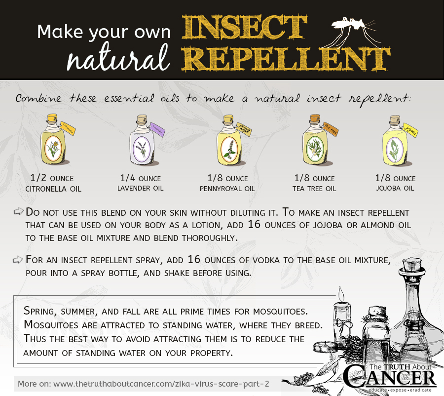 Natural-insect-repellent-prevent-zika
