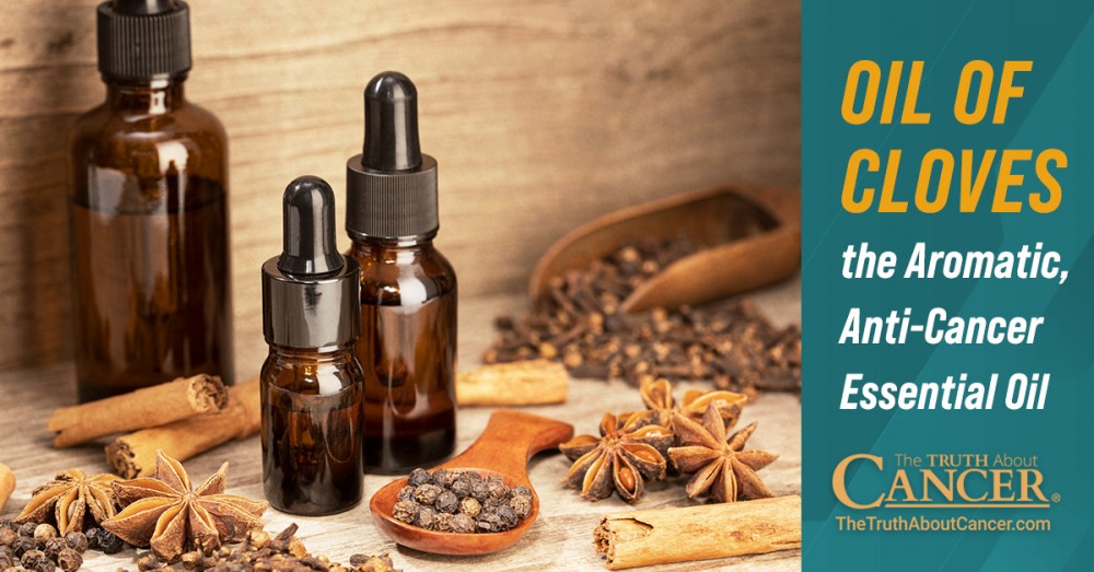 Oil of Cloves - the Aromatic, Anti-Cancer Essential Oil