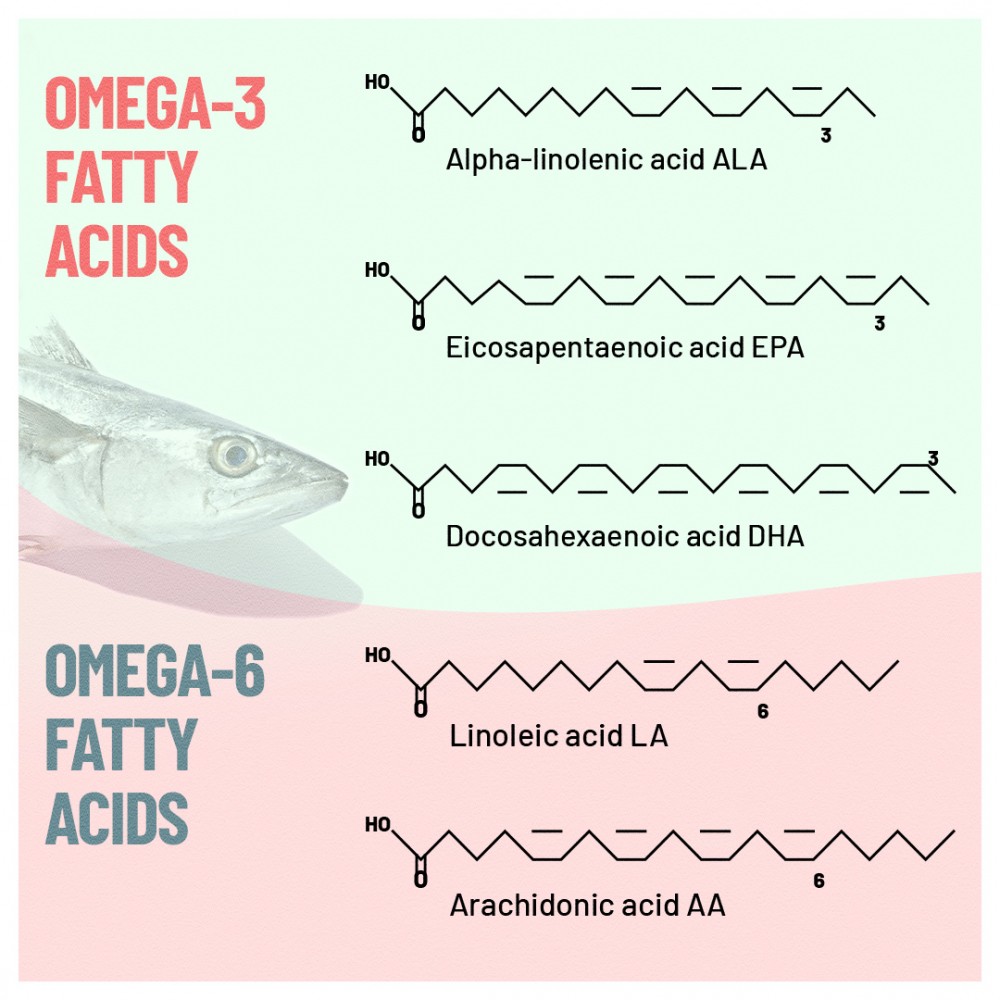 omega-3 and omega-6 fatty acids