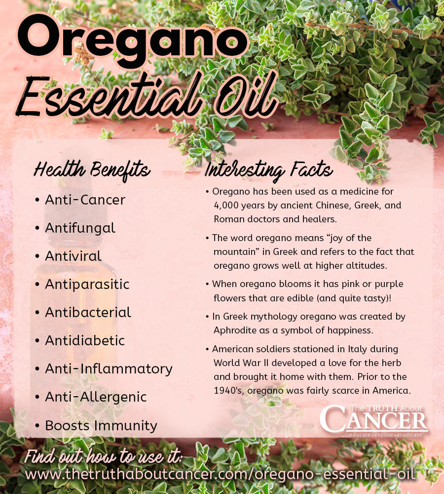 Oregano-Essential-Oil-Health-Benefits