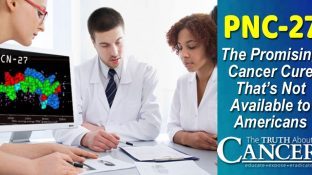 PNC-27: The Promising Cancer Cure That's Not Available to Americans PNC-27: The Promising Cancer Cure That's Not Available to Americans