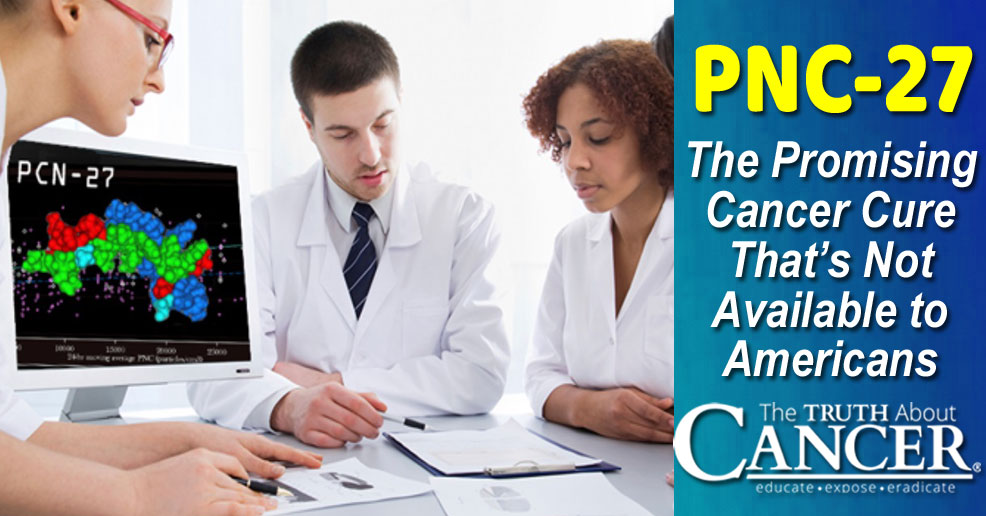 PNC-27: The Promising Cancer Cure That's Not Available to Americans PNC-27: The Promising Cancer Cure That's Not Available to Americans