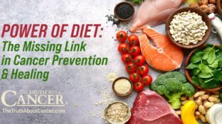 Power of Diet: The Missing Link in Cancer Prevention and Healing
