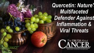 Quercetin: Nature's Multifaceted Defender Against Inflammation & Viral Threats