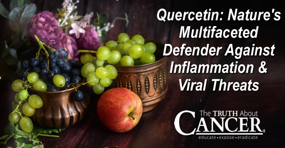 Quercetin: Nature's Multifaceted Defender Against Inflammation & Viral Threats