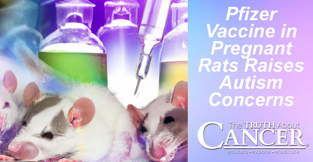 Pfizer Covid-19 Jab in Pregnant Rats Raises Autism Concerns