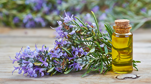 Do You Know These 6 Health Benefits & Uses for Rosemary Essential Oil?