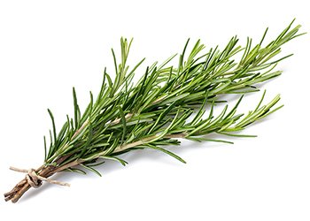 Rosemary contains potent antioxidant and anti-inflammatory phytochemicals