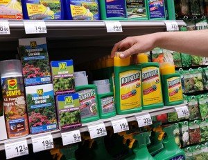 Roundup is the world’s most popular weed killer and is linked with a wide range of diseases, including cancer