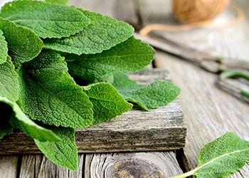 Sage contains high levels of phytoestrogens which can help to safely block estrogen receptors