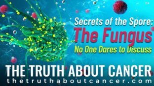 Secrets of the Spore: The Fungus No One Dares to Discuss