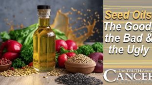 Seed Oils: The Good, the Bad, and the Ugly Seed Oils: The Good, the Bad, and the Ugly