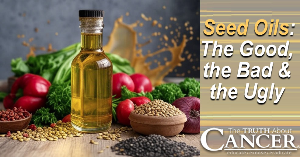 Seed Oils: The Good, the Bad, and the Ugly