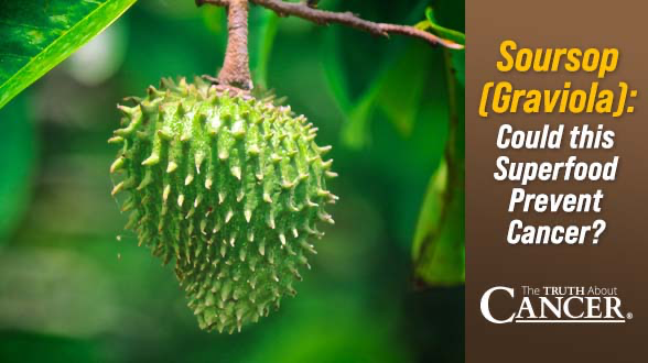 Soursop (Graviola): Could this Superfood Prevent Cancer?