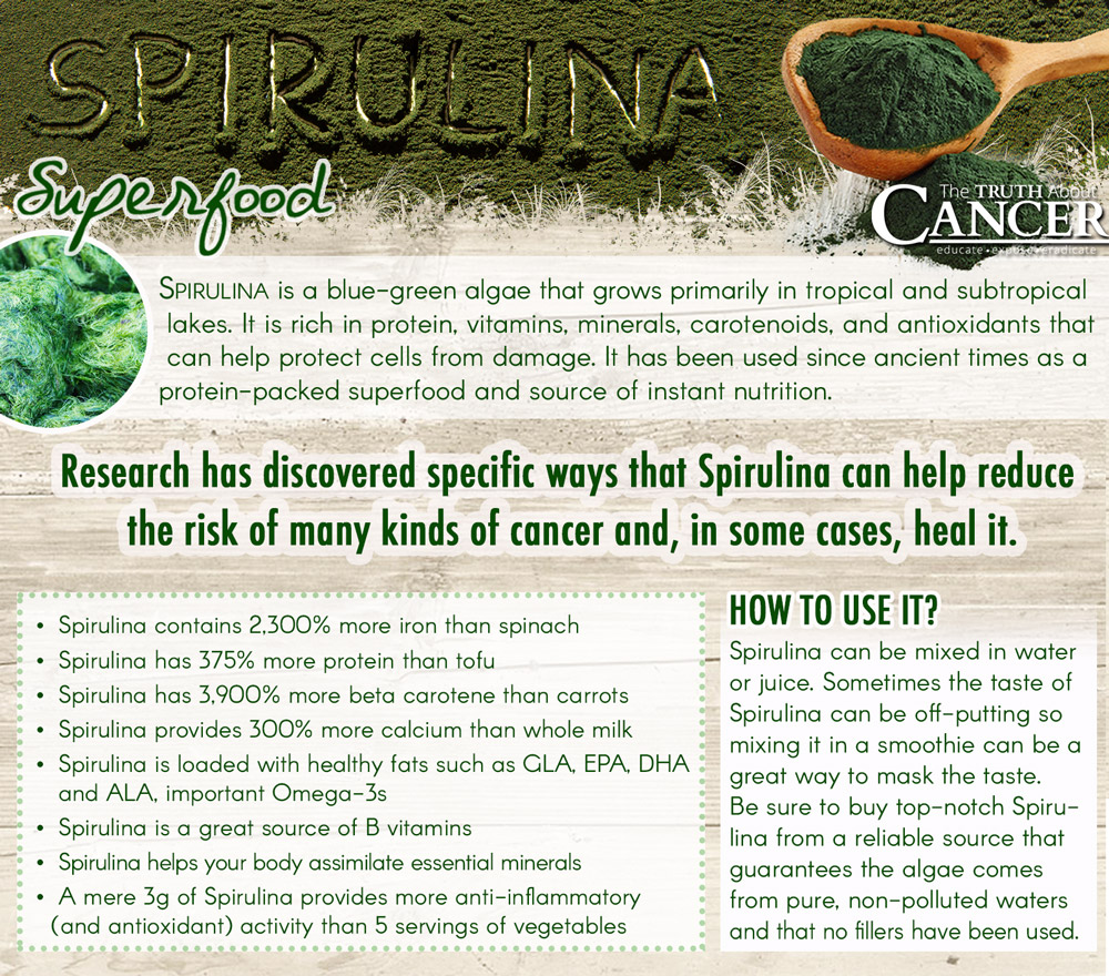 Spirulina-algae-benefits-infographic