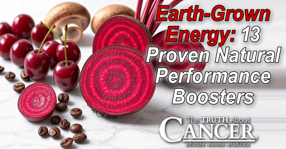 Earth-Grown Energy: 13 Proven Natural Performance Boosters