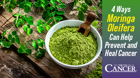 4 Ways Moringa Oleifera Can Help Prevent and Heal Cancer