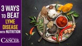 3 Ways to Beat Lyme Disease With Nutrition