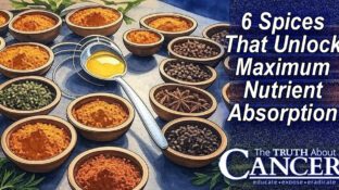 Spice Synergy: 6 Spices That Unlock Maximum Nutrient Absorption Spice Synergy: 6 Spices That Unlock Maximum Nutrient Absorption