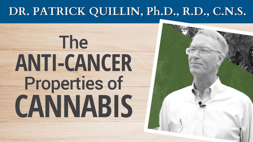 The Anti-Cancer Properties of Cannabis (video)
