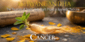 Ashwagandha: The “Fountain of Youth” Herb...