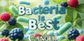 Bacteria is Best: Why a Healthy Gut Microbiome is Key...