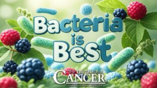 Bacteria is Best: Why a Healthy Gut Microbiome is Key to Cancer Prevention Bacteria is Best: Why a Healthy Gut Microbiome is Key to Cancer Prevention