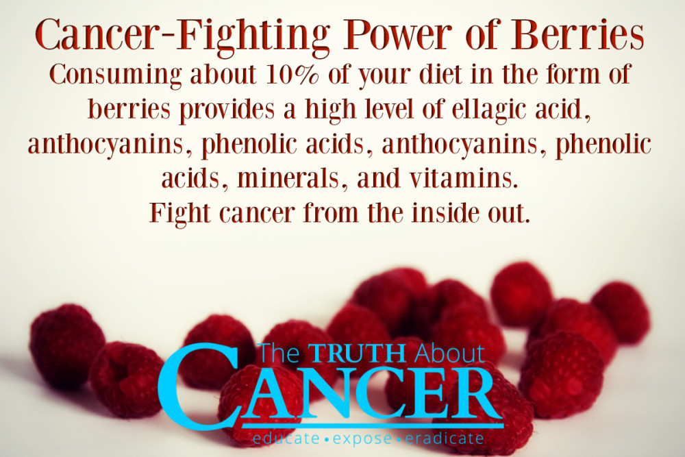 Berry-Cancer-Fighting 