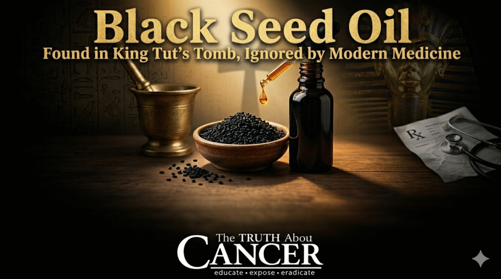 🖤 Black Seed Oil: Found in King Tut's Tomb, Ignored by Modern Medicine