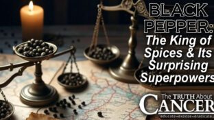 Black Pepper: The King of Spices & Its Surprising Superpowers
