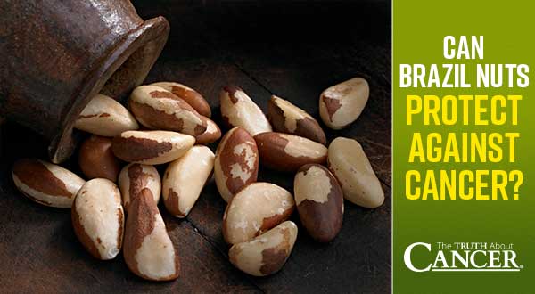 Can Brazil Nuts Protect Against Cancer?