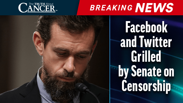Facebook and Twitter Grilled by Senate on Censorship