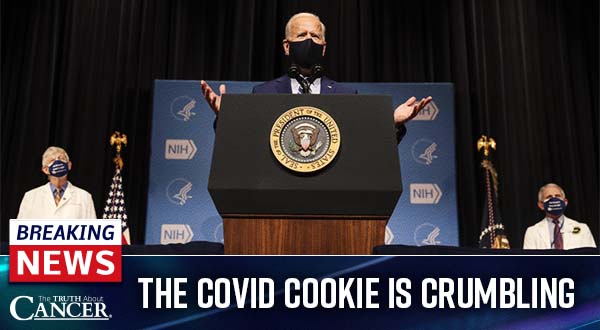 COVID Cookie is Crumbling