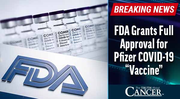 BREAKING: FDA “Approves” Pfizer/BioNTech COVID-19 Vaccine (Behind Closed Doors)