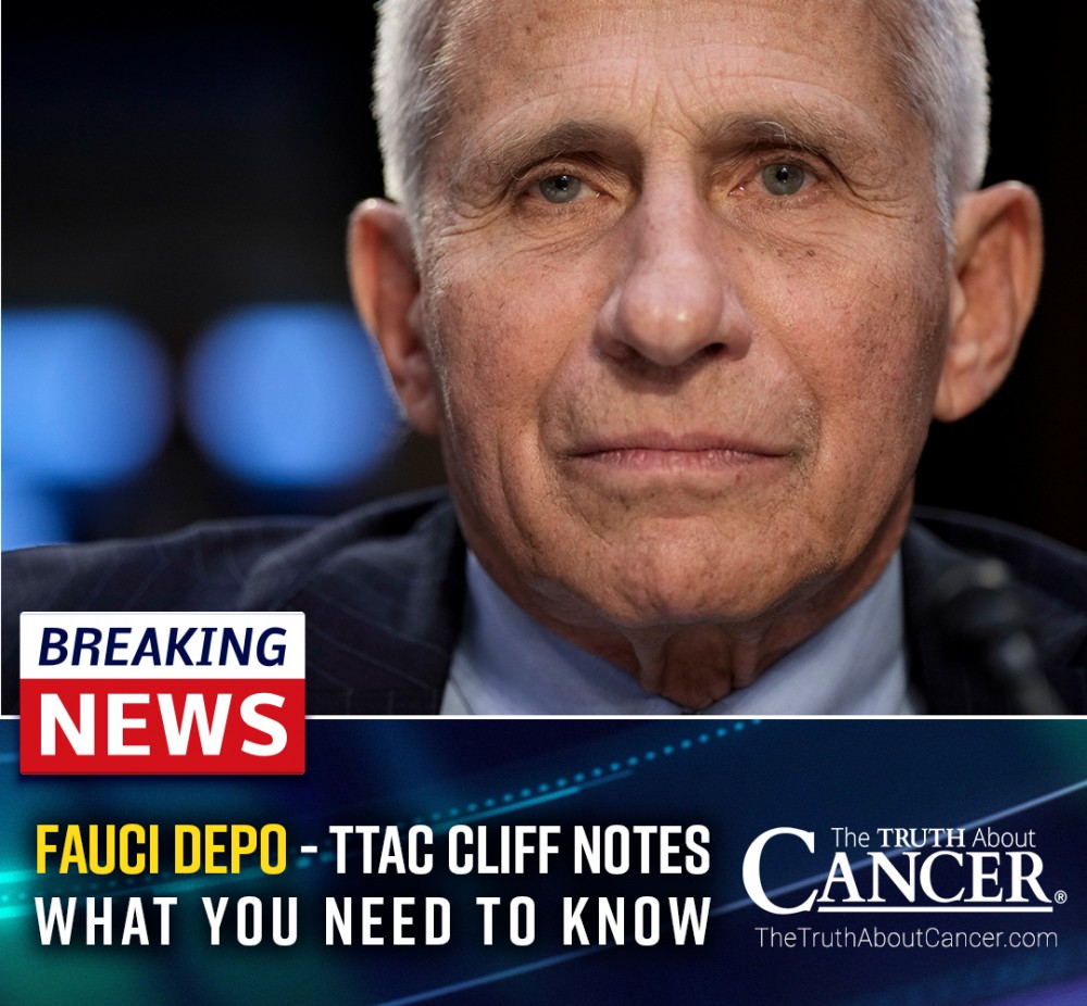 Fauci Deposition - TTAC CliffsNotes: What You Need to Know