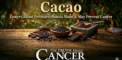 🍫 Cacao: Lowers Blood Pressure, Boosts Mood &...