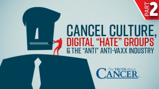 Cancel Culture, Digital "Hate" Groups & the "Anti" Anti-Vaxx Industry | Part 2