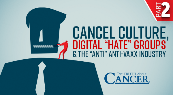 Cancel Culture, Digital "Hate" Groups & the "Anti" Anti-Vaxx Industry | Part 2